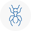 Ant Removals In Fife