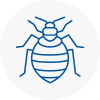Bed Bug Extermination In Fife