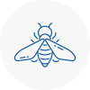 Bee Nest Removal Fife