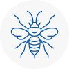 Fife Hornet Nest Removals