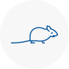 Mice Exterminators In Fife