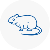 Rat Control Fife
