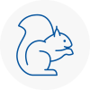 Fife Rodent Removals