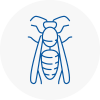 Fife Wasp Nest Removal
